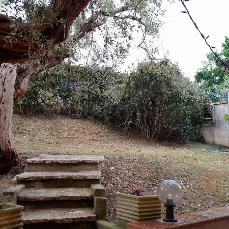 I Gufetti 2 Apartamento San Savino  Exterior foto